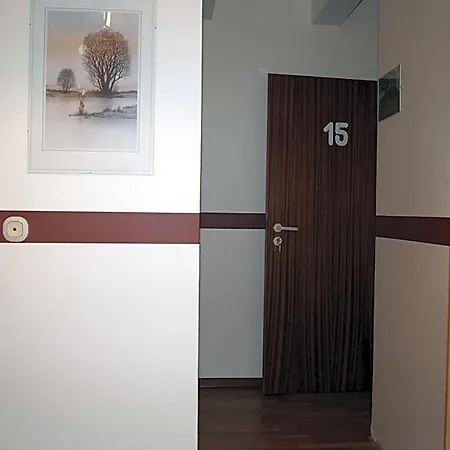 拉丰塔纳酒店 酒店 朗格尔斯海姆